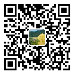 大发welcome登录入口